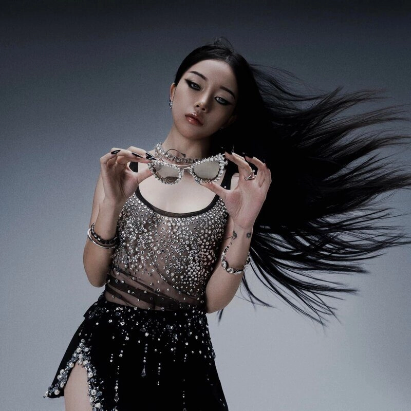 linh ngọc đàm hoàng diệp anh