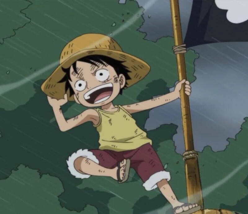 ảnh luffy hồi bé