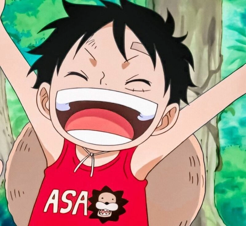 ảnh luffy hồi bé