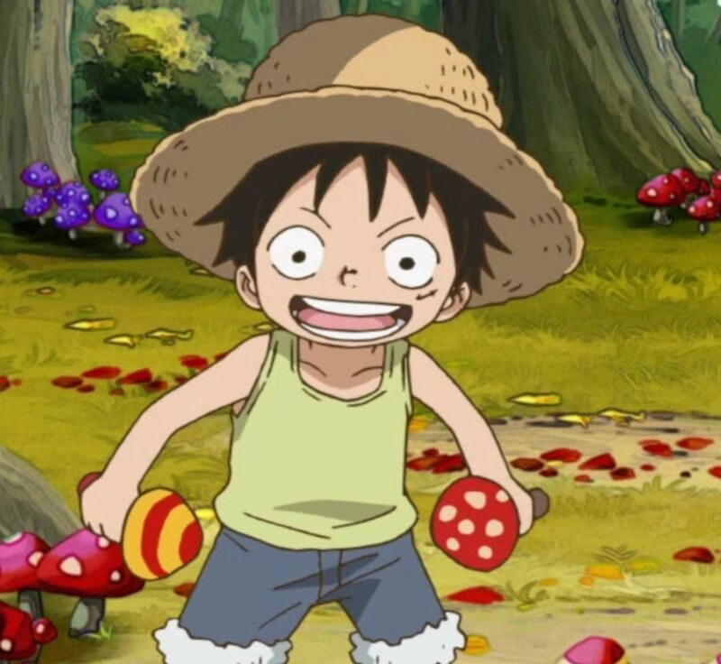 ảnh luffy hồi bé