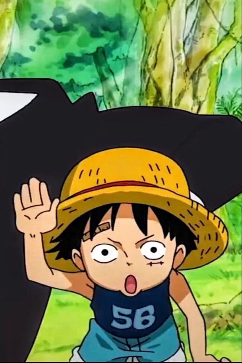 ảnh luffy hồi bé