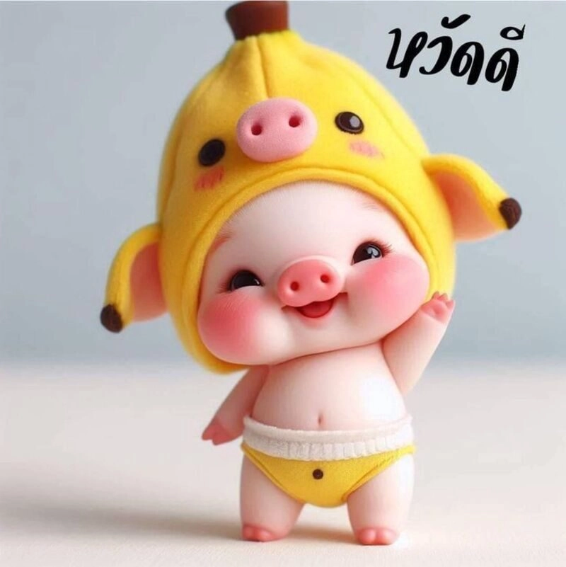 con heo cute
