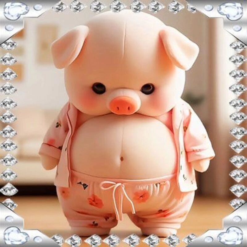 con heo cute