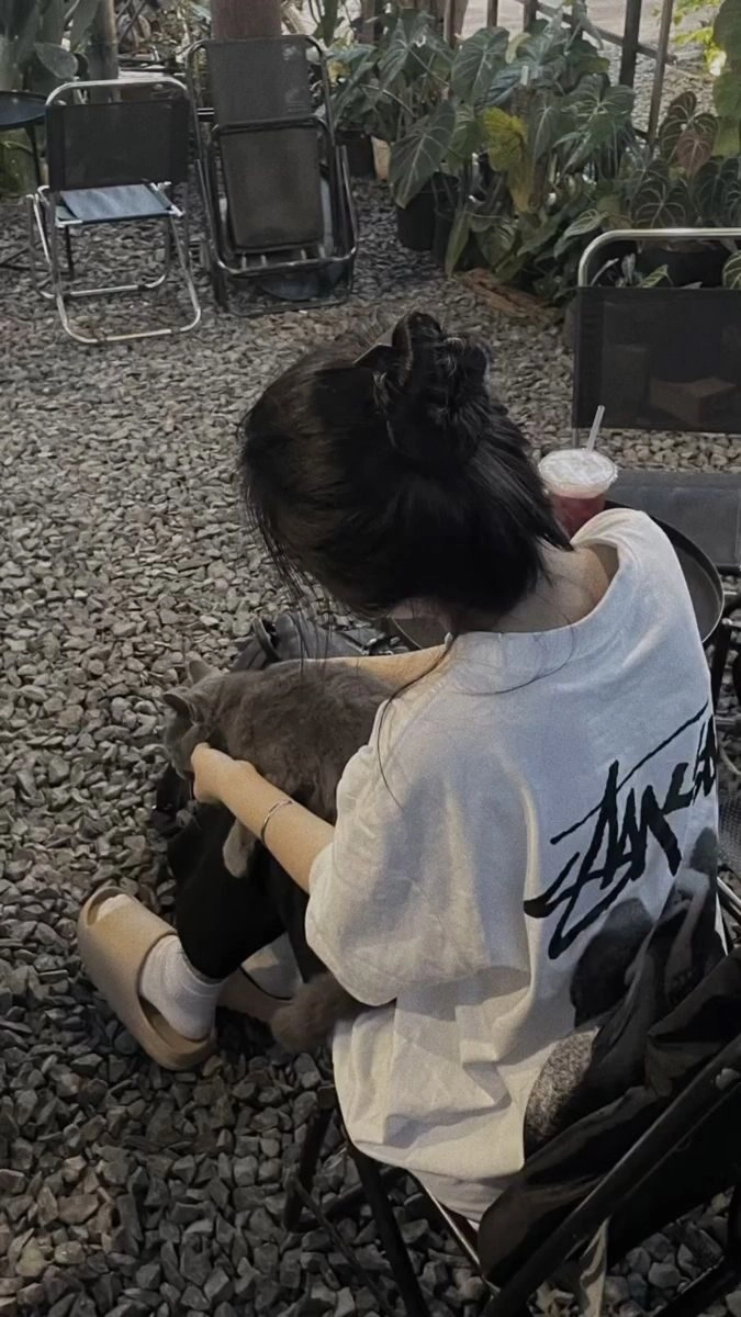 avatar ảnh gái đẹp