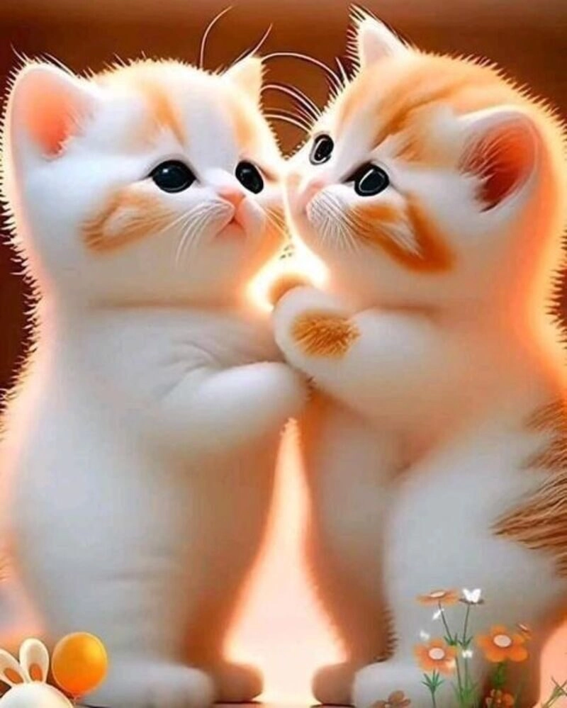 mèo 3d