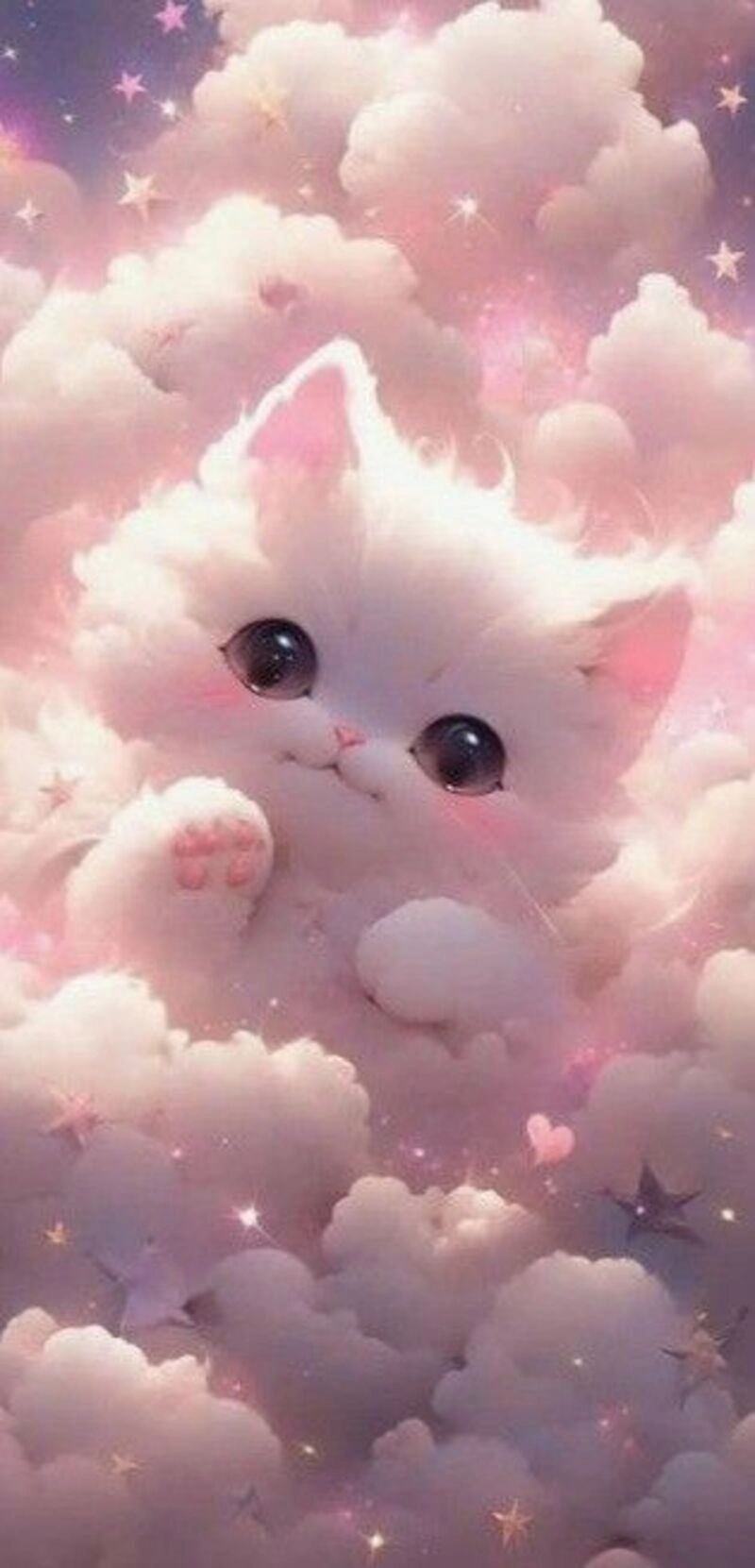 ngộ nghĩnh ảnh mèo cute