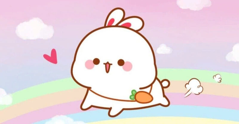 Hình ảnh thỏ siêu cute chạy