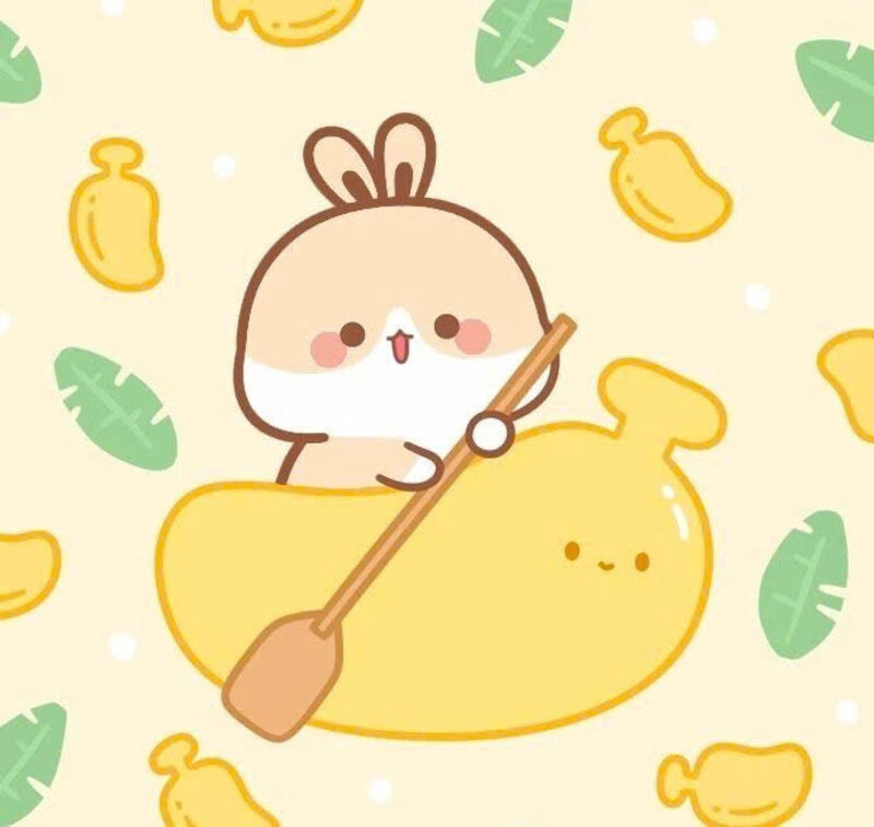 Hình ảnh thỏ siêu cute chèo thuyền
