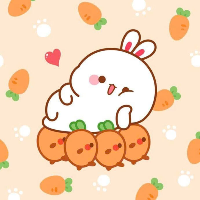 Hình ảnh thỏ cute cufng pet
