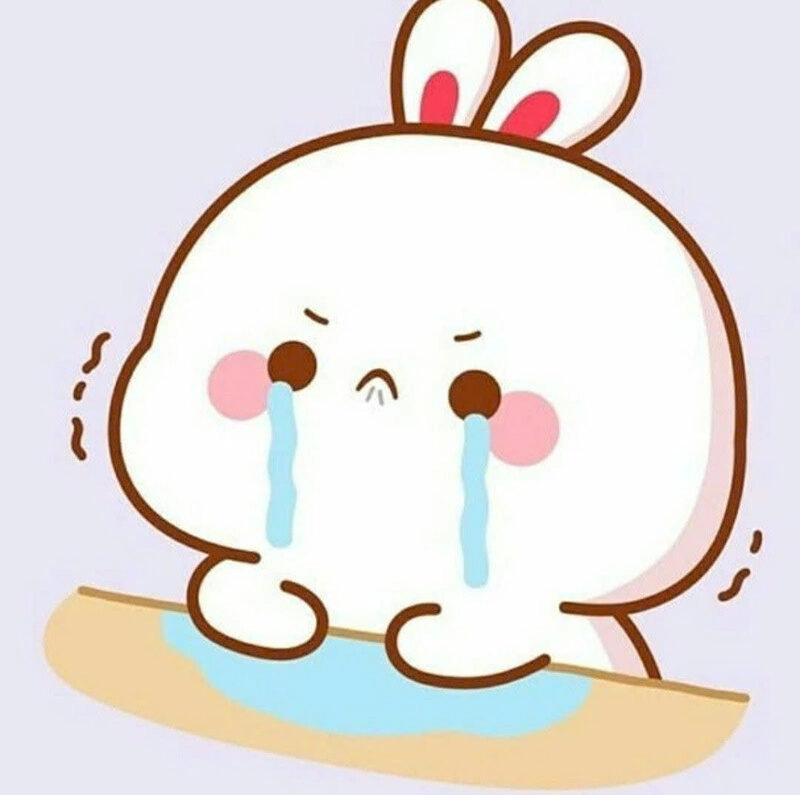 Hình ảnh thỏ siêu cute khóc