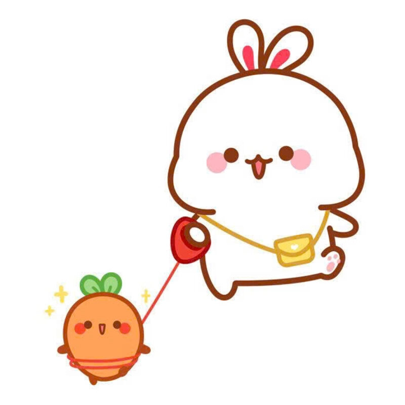 Hình ảnh thỏ siêu cute dắt pet đi dạo