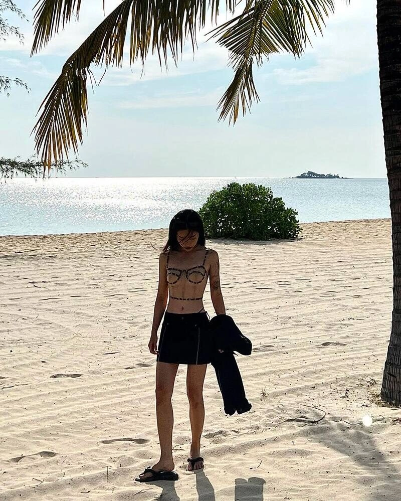 linh ngọc đàm nude